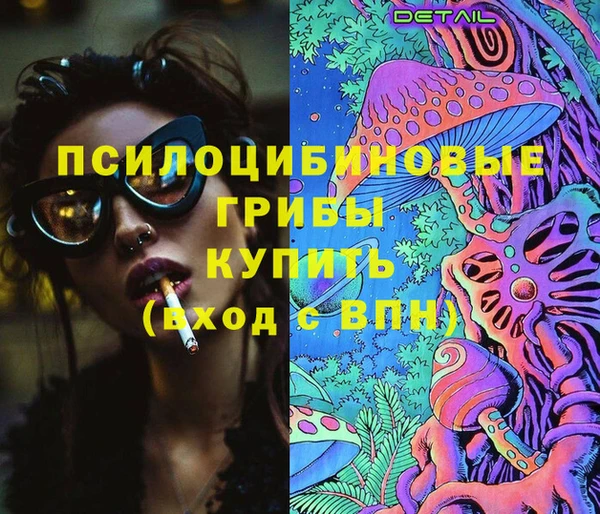 экстази Михайлов