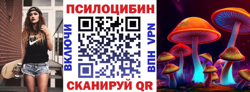 hydra онион  Юрьев-Польский  Псилоцибиновые грибы MAGIC MUSHROOMS 